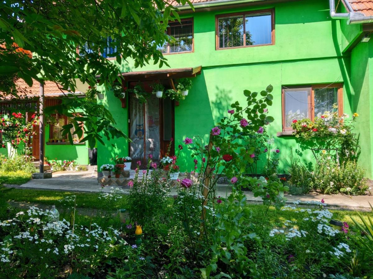 Csergo Ildiko Vendeghaz Hotel Lăzarea Eksteriør billede